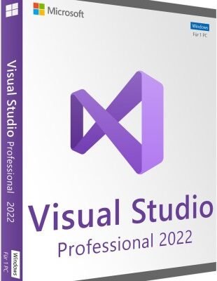 Microsoft Visual Studio Professional 2022