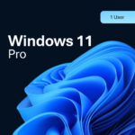 Windows 11 Pro